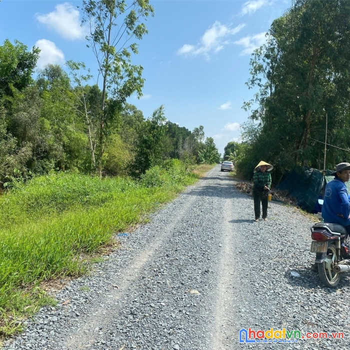 Cần bán 2,1 hecta đất nông nghiệp tại ấp đông hoà, xã thuỷ đông, huyện thạnh hoá, tỉnh long an.