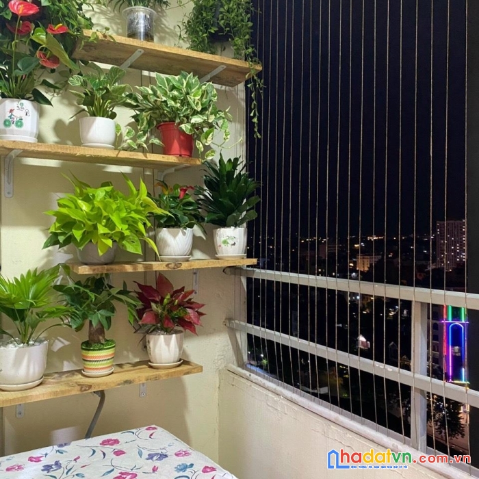 Chính chủ bán căn chung cư cát tường tnt ct4 tại phường võ cường tp bắc ninh:
