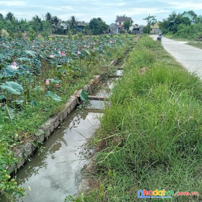 Sở hữu ngay lô đất vị trí đẹp thị xã ninh hòa , khánh hòa