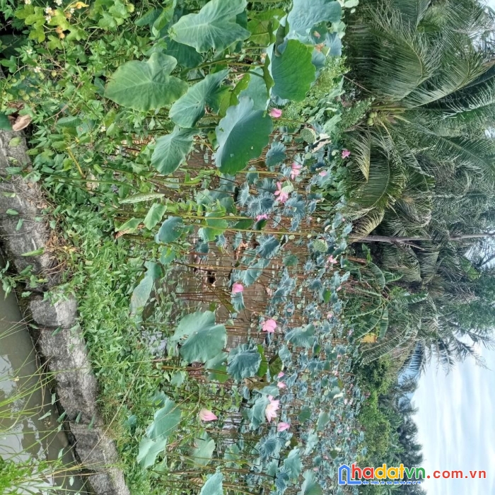 Sở hữu ngay lô đất vị trí đẹp thị xã ninh hòa , khánh hòa