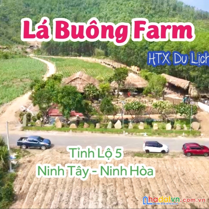 Farmstay khánh hoà 20ha giá chỉ 25 tỷ đang hoạt động