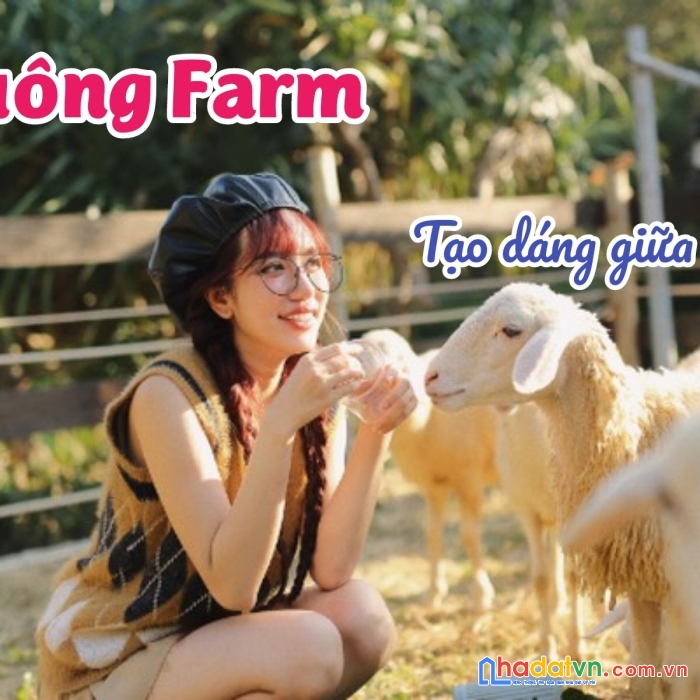 Farmstay khánh hoà 20ha giá chỉ 25 tỷ đang hoạt động