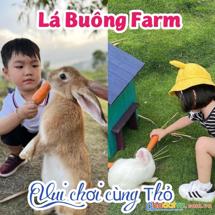 Farmstay khánh hoà 20ha giá chỉ 25 tỷ đang hoạt động