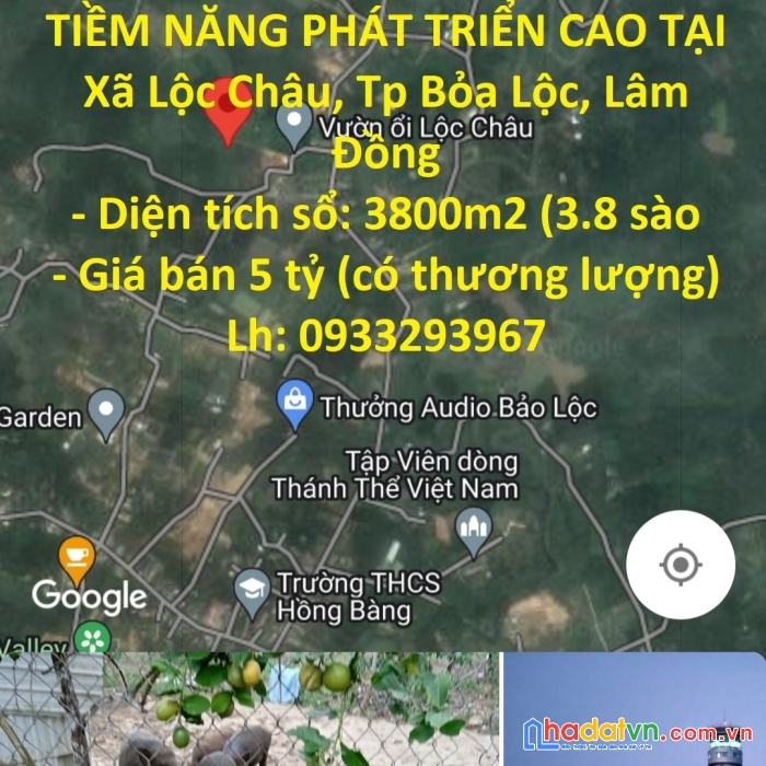 Chính chủ cần bán gấp đất _ tiềm năng phát triển cao tại xã lộc châu, tp bảo lộc, lâm đồng