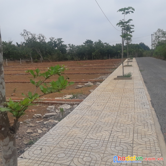 Bán đất thổ cư khu công nghiệp dầu giây,thống nhất đồng nai chỉ 420 triệu xây nhà tự do