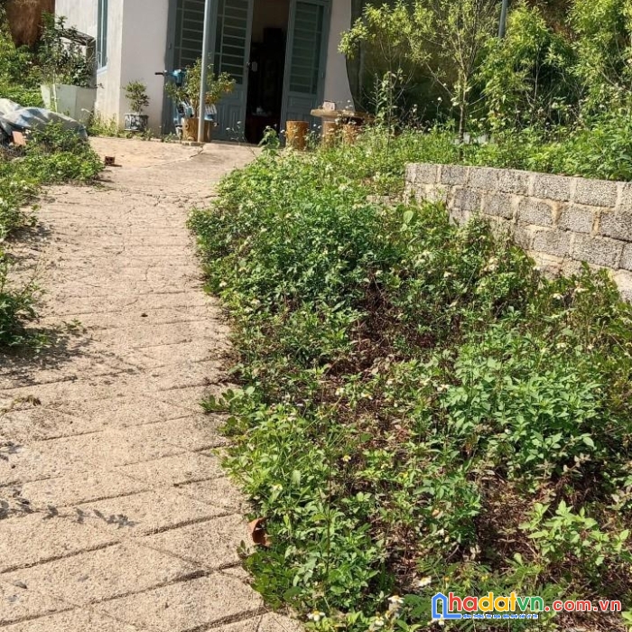 Hot !!! sở hữu ngay lô đất đẹp vị trí đắc địa tại thôn 3 , lộc thành,bảo lâm, lâm đồng