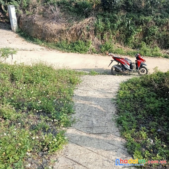 Hot !!! sở hữu ngay lô đất đẹp vị trí đắc địa tại thôn 3 , lộc thành,bảo lâm, lâm đồng