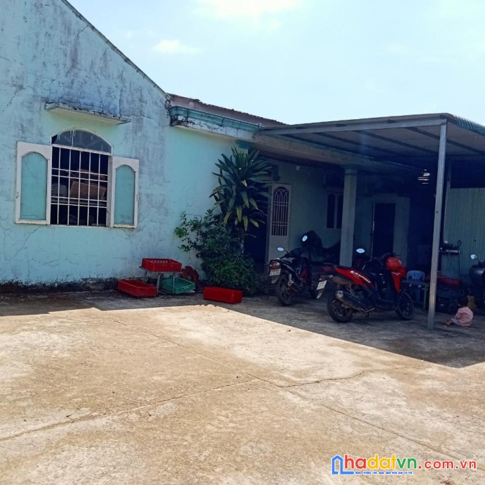 Cần bán gấp lô đất đẹp gía đầu tư tại thôn 8, xã lộc nam, bảo lâm,  lâm đồng