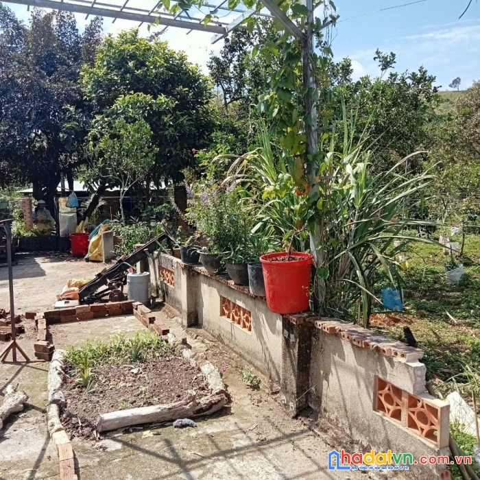 Cần bán gấp lô đất đẹp gía đầu tư tại thôn 8, xã lộc nam, bảo lâm,  lâm đồng