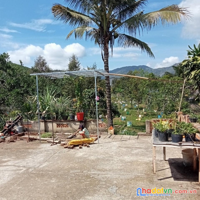 Cần bán gấp lô đất đẹp gía đầu tư tại thôn 8, xã lộc nam, bảo lâm,  lâm đồng