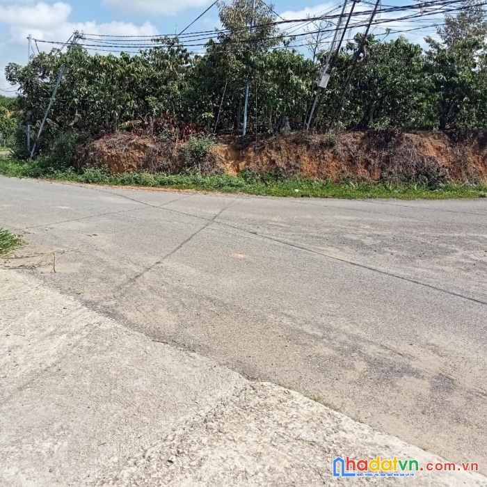 Cần bán gấp lô đất đẹp gía đầu tư tại thôn 8, xã lộc nam, bảo lâm,  lâm đồng
