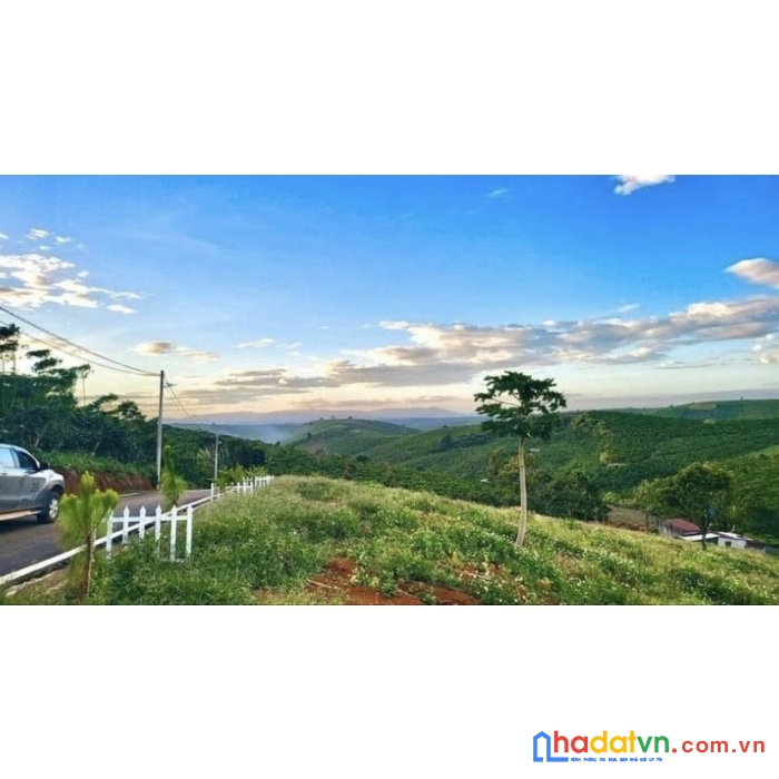 Bán đất thổ cư bảo lộc giá cực mềm