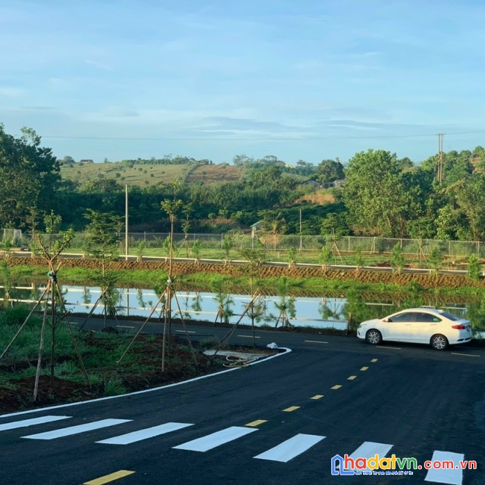 Đất nhà em bán có 3 đến 4tr /1m2. còn đất người ta bán đã lên tới 15tr đến 20tr /1m2 rồi. tại