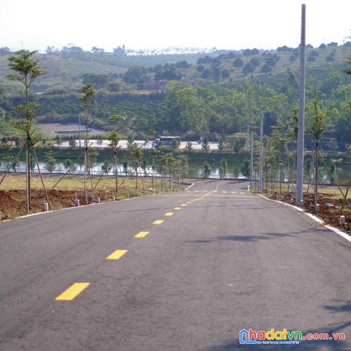 Đất nhà em bán có 3 đến 4tr /1m2. còn đất người ta bán đã lên tới 15tr đến 20tr /1m2 rồi. tại