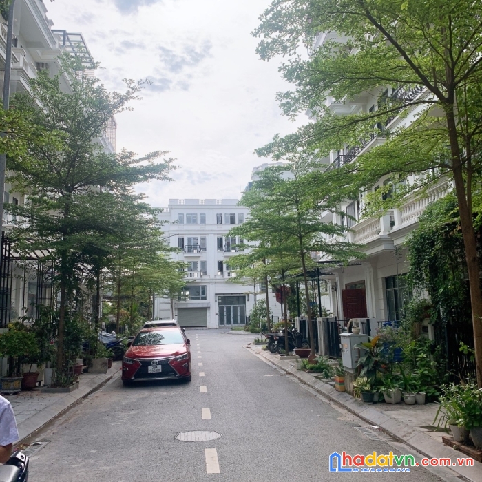 Kđt vinadic phú diễn 77m 5t mt 4.5m giá chỉ 11.3 tỷ