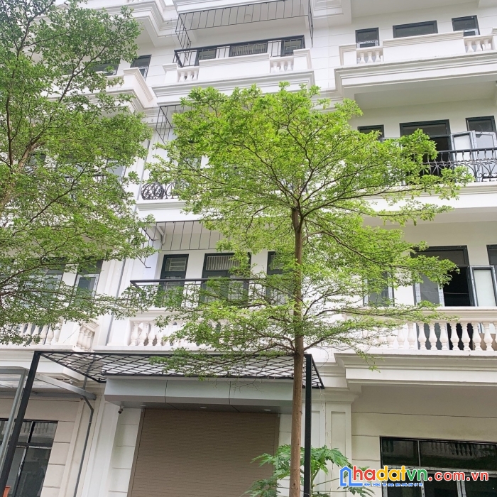 Kđt vinadic phú diễn 77m 5t mt 4.5m giá chỉ 11.3 tỷ