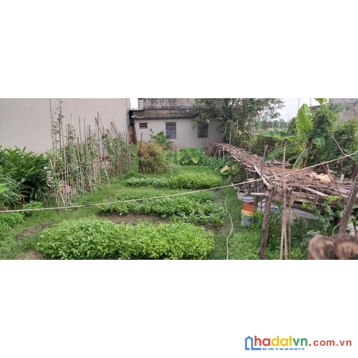 Sở hữu ngay lô đất full thổ cư vị trí mặt tiền tại hùng thắng- hạ long