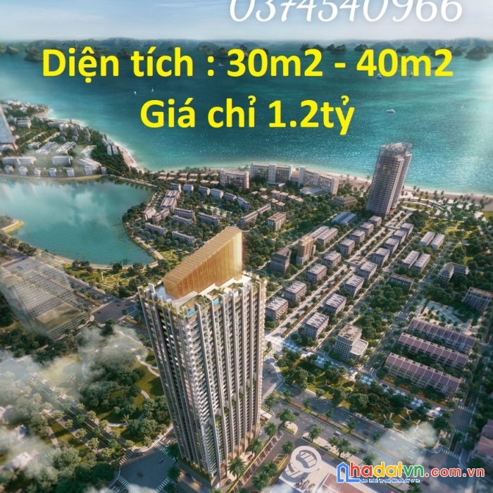 Căn hộ đẹp tại khu du lịch bãi cháy - dự án icon 40 hạ long