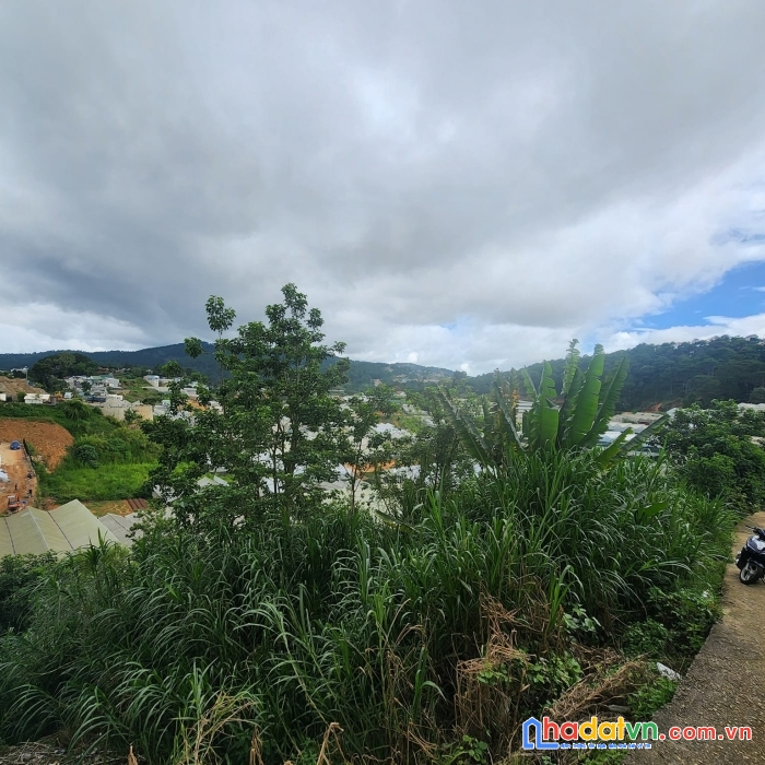 ( gấp gấp ) bán gấp 2500m2 đất rộng view đẹp đường an sơn, đà lạt giá chỉ 10tr/m2