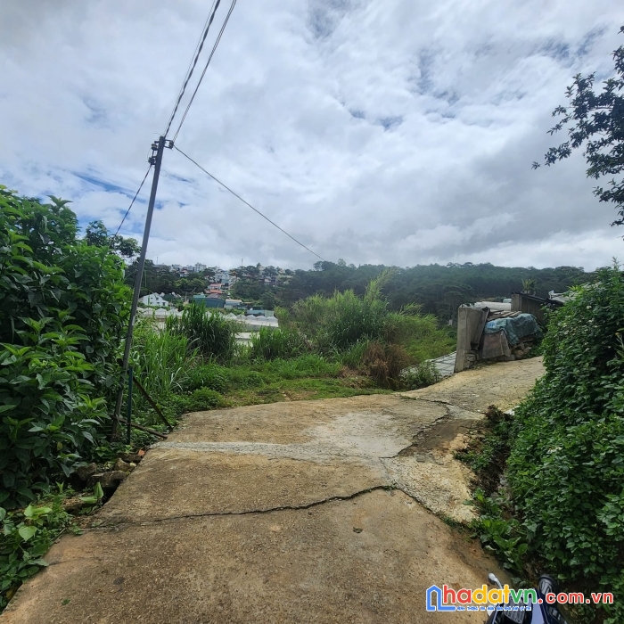 ( gấp gấp ) bán gấp 2500m2 đất rộng view đẹp đường an sơn, đà lạt giá chỉ 10tr/m2