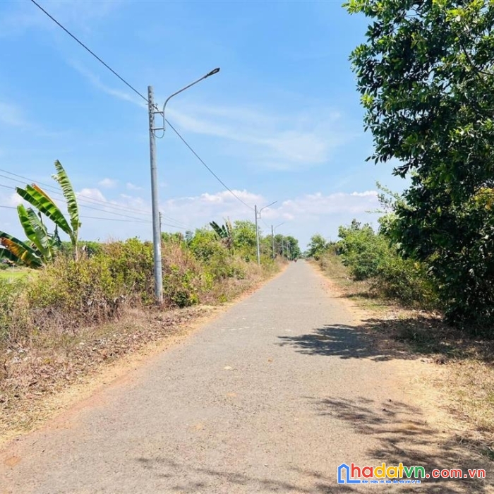 Bán gấp 4000m2 đất thổ cư mặt tiền đường tránh ql55 đất đỏ,bà rịa vũng tàu giá giảm sâu