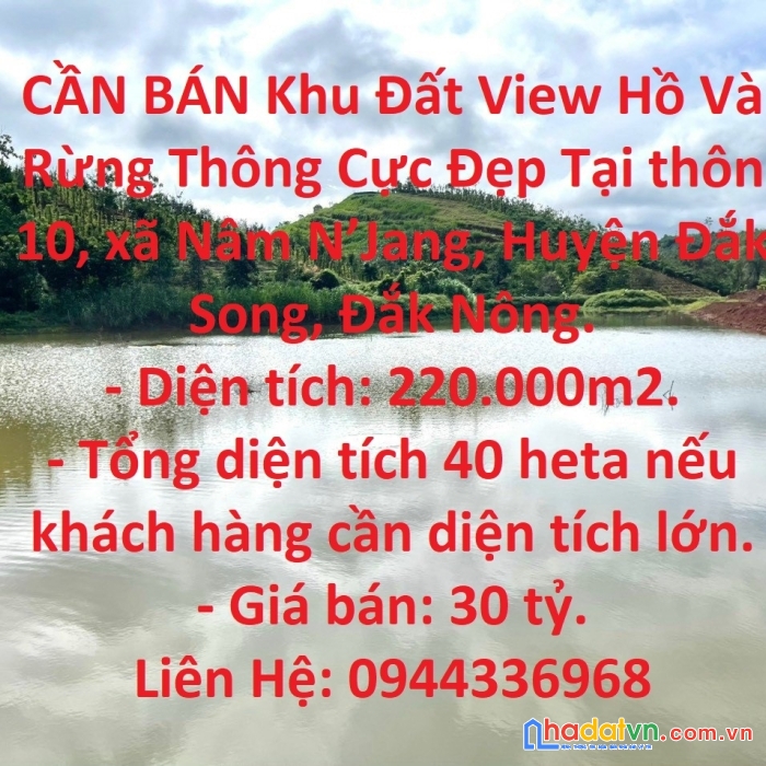 Cần bán khu đất view hồ và rừng thông cực đẹp tại đắk nông.
