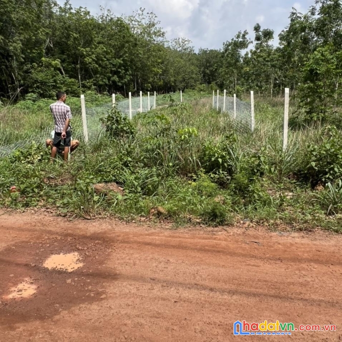 Sở hữu ngay lô đất đẹp vị trí đắc địa tại bắc tân uyên