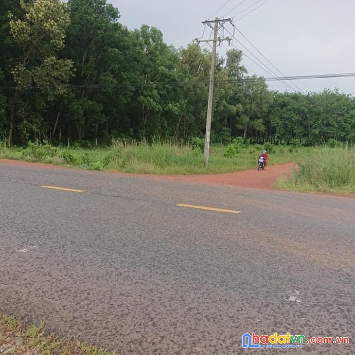 Sở hữu ngay lô đất đẹp vị trí đắc địa tại bắc tân uyên