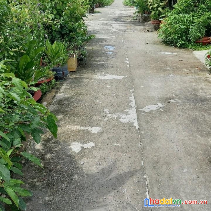 Đất đẹp mặt tiền - cần chuyển nhượng gấp tại hẻm tèo trâu, phường 4, tp cà mau