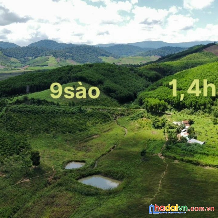 Sở hữu ngay lô đất mặt tiền đường nhựa tại kbang - gia lai view hồ lớn kanak