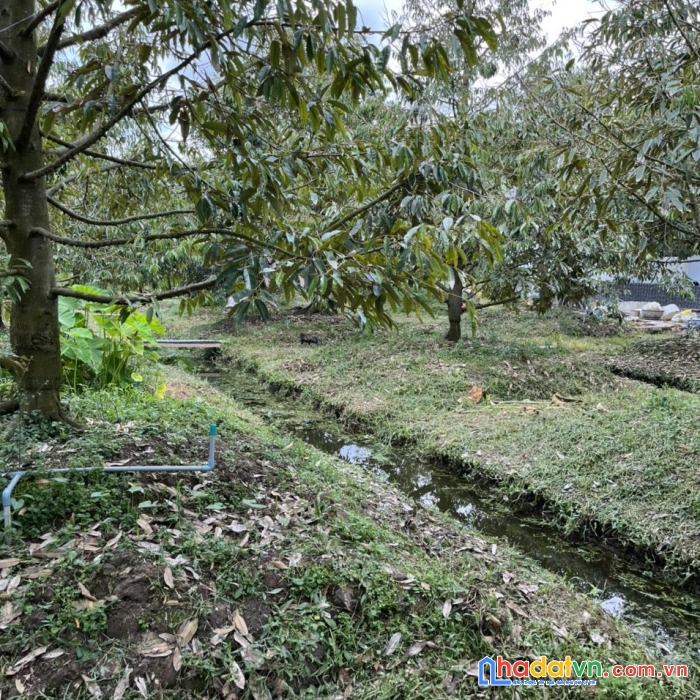 Chính chủ bán lô đất vị trí đẹp mặt tiền lộ 74 cầu cây da