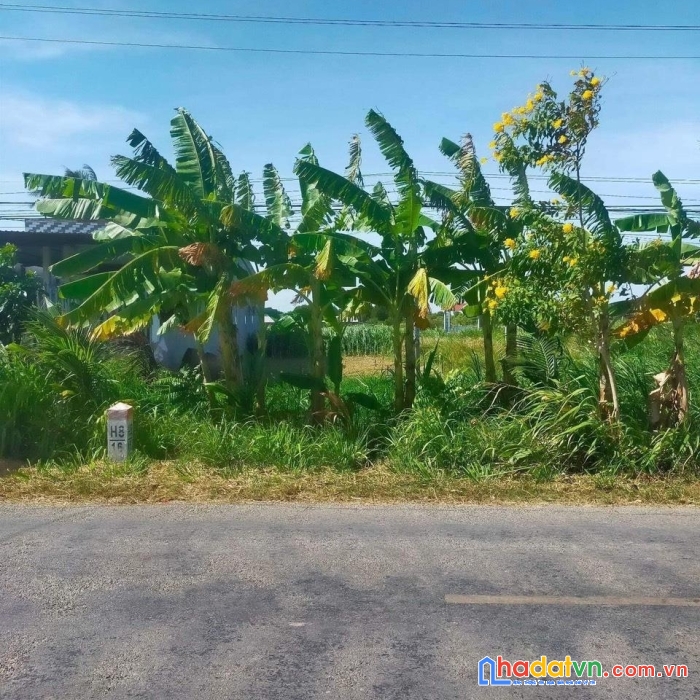 Cần bán gấp lô đất vị trí đẹp mặt tiền tỉnh lộ  913 -  trà vinh- đất chính chủ