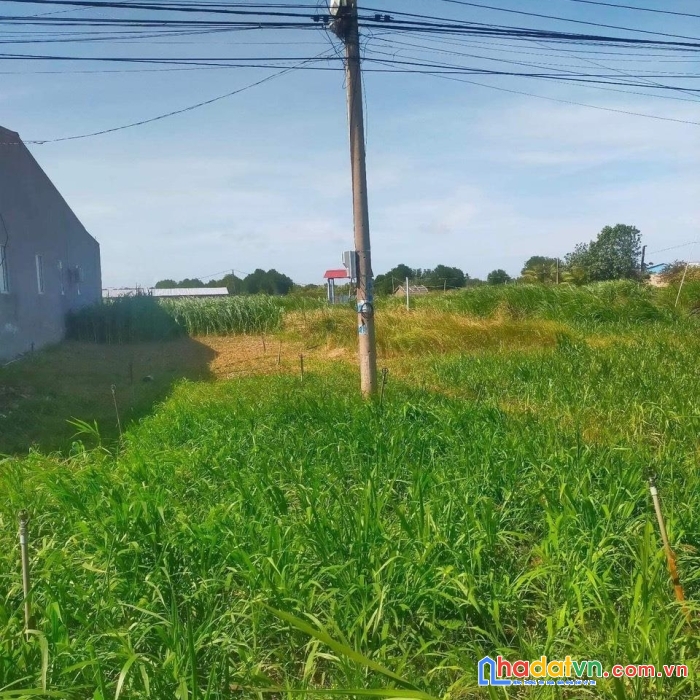 Cần bán gấp lô đất vị trí đẹp mặt tiền tỉnh lộ  913 -  trà vinh- đất chính chủ