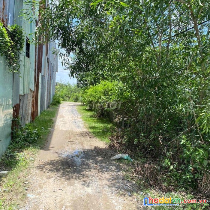 Chính chủ cần bán lô đất tại   xã vĩnh lộc a, huyện bình chánh, tp hồ chí minh