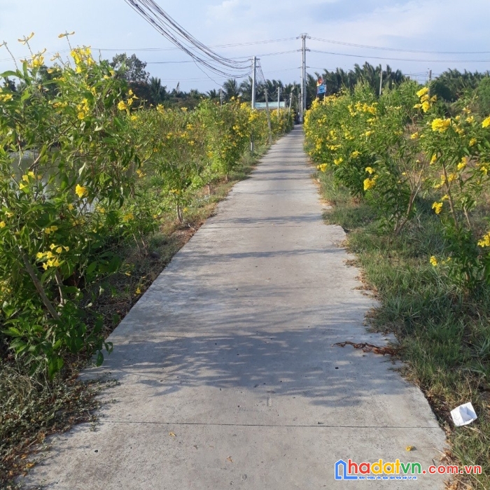 Chính chủ cần tiền gấp bán gấp lô đất full thổ cư, đã có sổ hồng 150m2