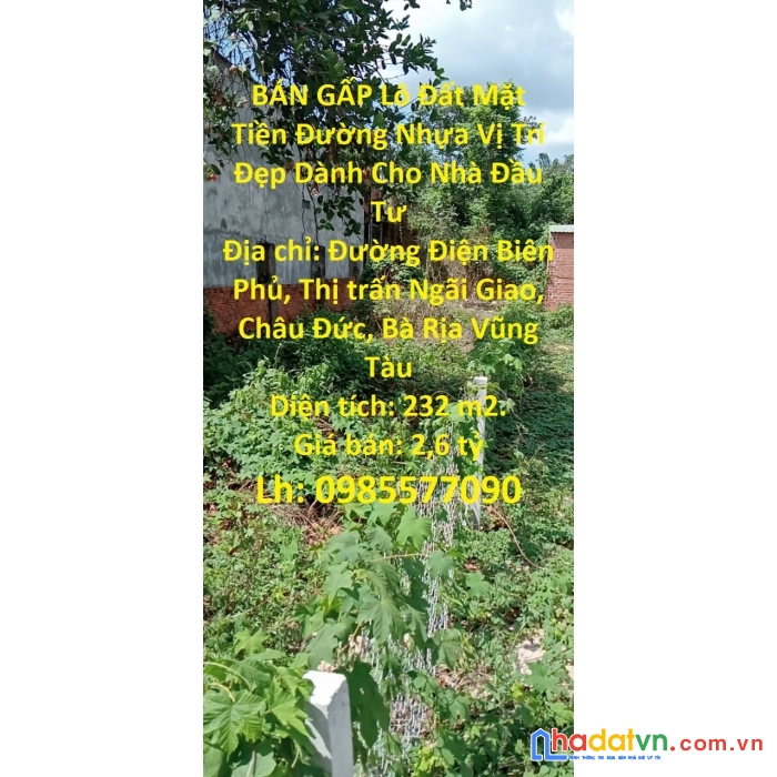 Bán gấp lô đất mặt tiền đường nhựa vị trí đẹp dành cho nhà đầu tư