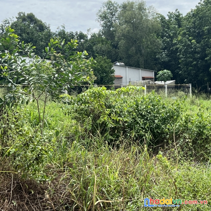 Chính chủ cần bán lô đất mặt tiền đường nhựa