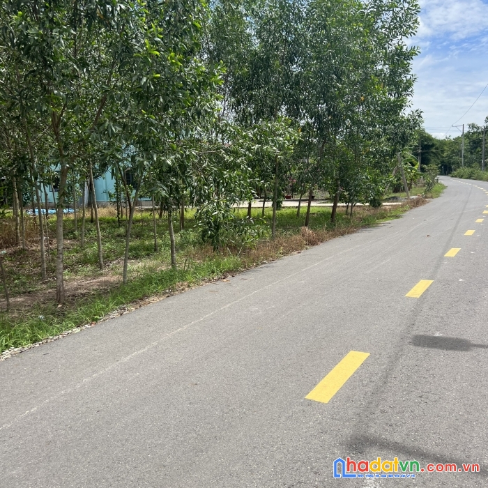 Chính chủ cần bán lô đất mặt tiền đường nhựa