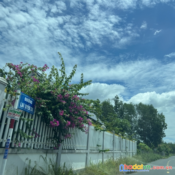 Chính chủ cần bán lô đất mặt tiền đường nhựa