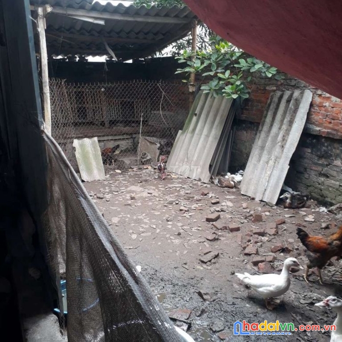 Bán đất thổ cư, gần kcn ngọc hồi. liên hệ: 0964175017