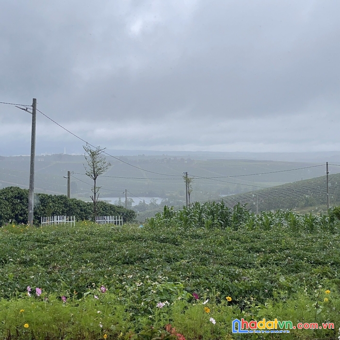 Cần sang tay lô đất thổ cư sổ hồng sẵn ngay khu dân cư hiện hữu