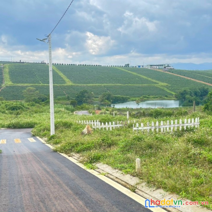 Cần sang tay lô đất thổ cư sổ hồng sẵn ngay khu dân cư hiện hữu