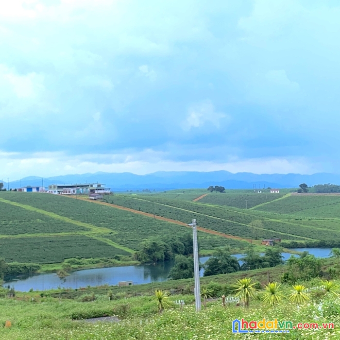 Cần sang tay lô đất thổ cư sổ hồng sẵn ngay khu dân cư hiện hữu