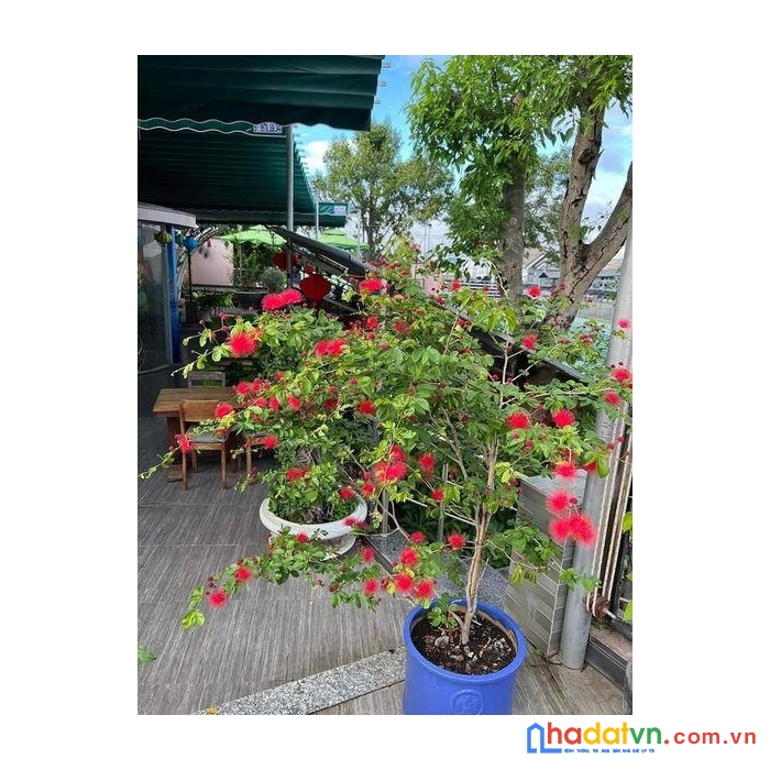 Chính chủ sang nhượng gấp quán cafe  162 bà triệu, tp kon tum.