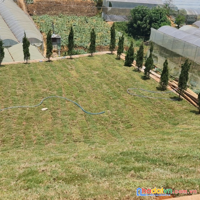 Cần bán gấp đất nền biệt thự view thoáng đường huỳnh tấn phát, đà lạt