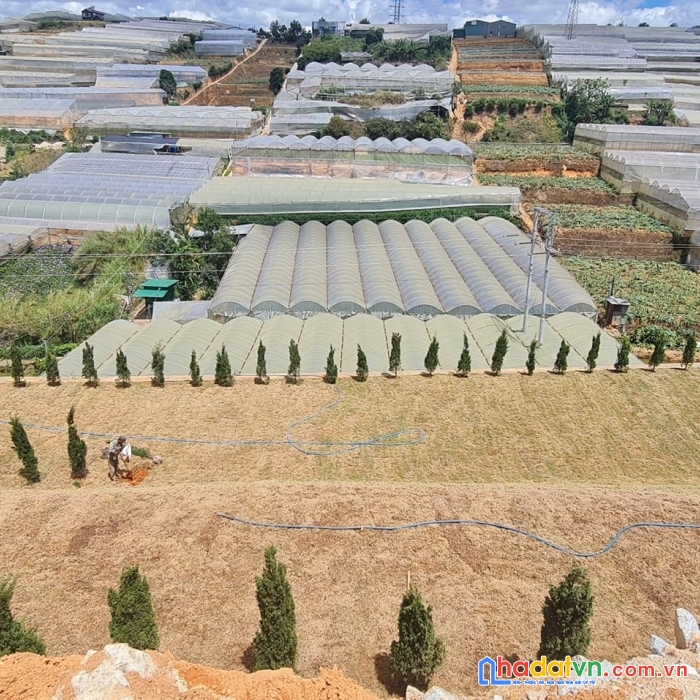 Cần bán gấp đất nền biệt thự view thoáng đường huỳnh tấn phát, đà lạt