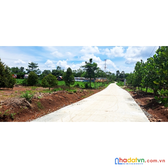 Bán đất vườn sầu riêng thái 6.392 m²  || 90m mặt tiền đường bê tông || định quán, đồng nai.