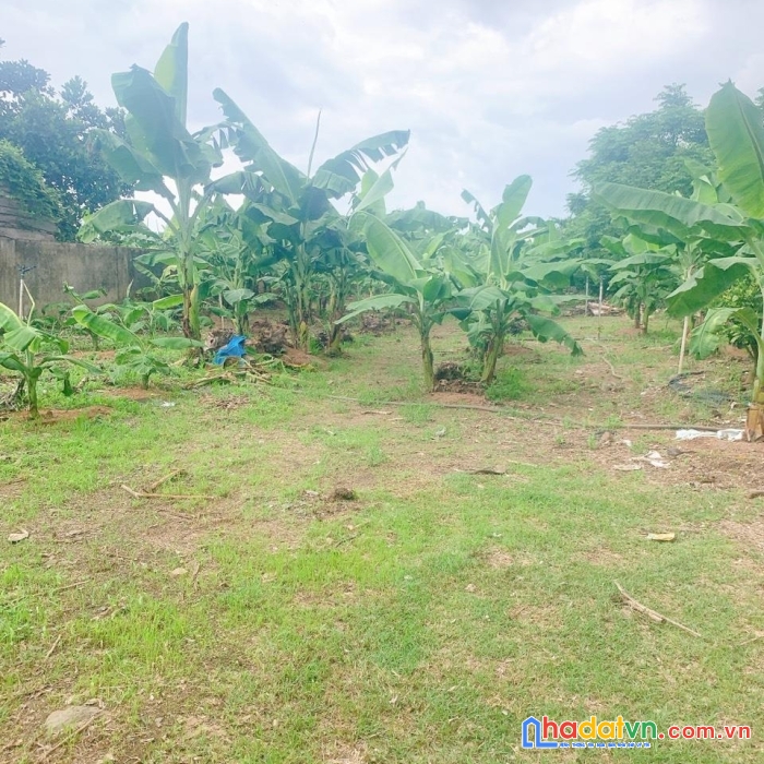 Đất chính chủ xã hòa phú, tp buôn ma thuột – cực rẻ, cực tiềm năng