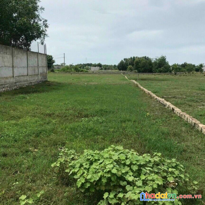 Đầu tư - sinh lời - chính chủ bán gấp lô đất mặt tiền xã tân bình, la gi, bình thuận