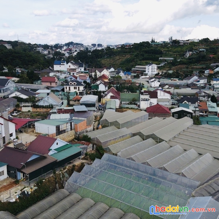 Bán gấp đất biệt thự giá cực tốt đường nguyễn đình quân, đà lạt 432m2